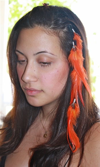 Feather Extensions Clip 24
